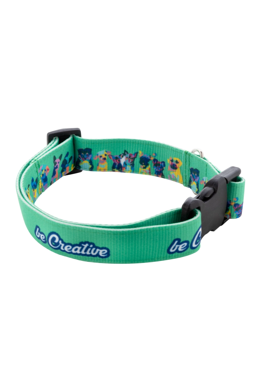 Collier pour chien