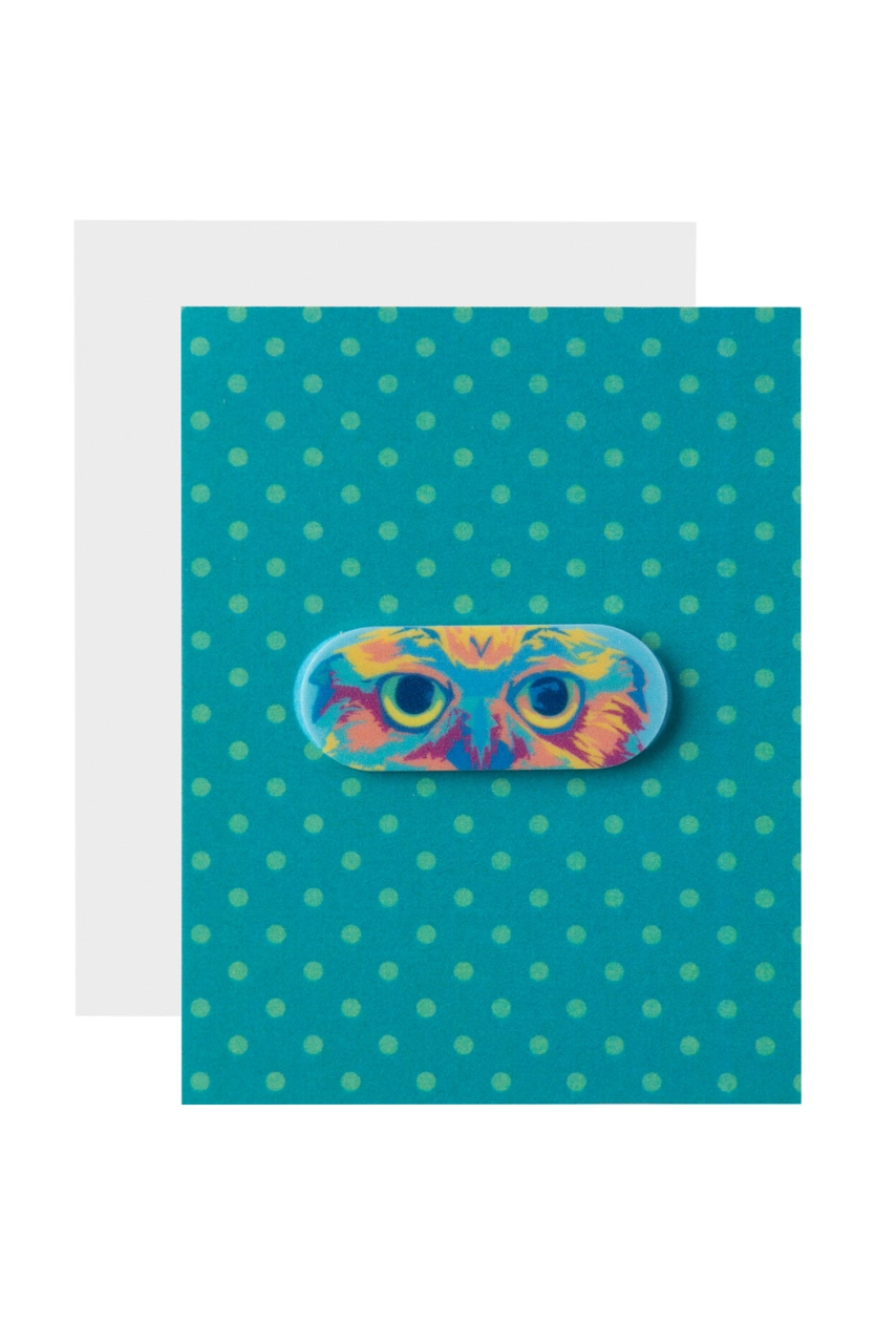 Cache webcam