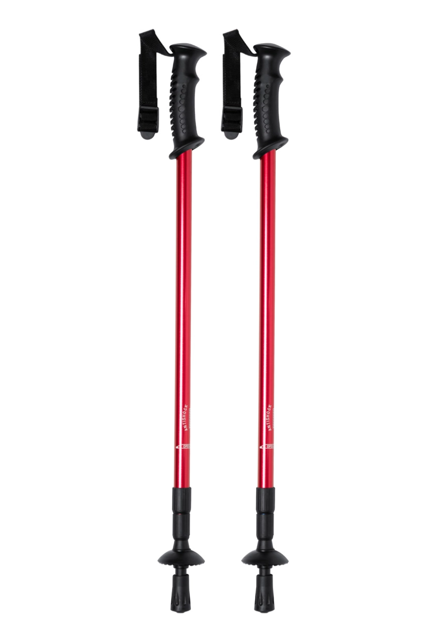 bâtons nordic walking