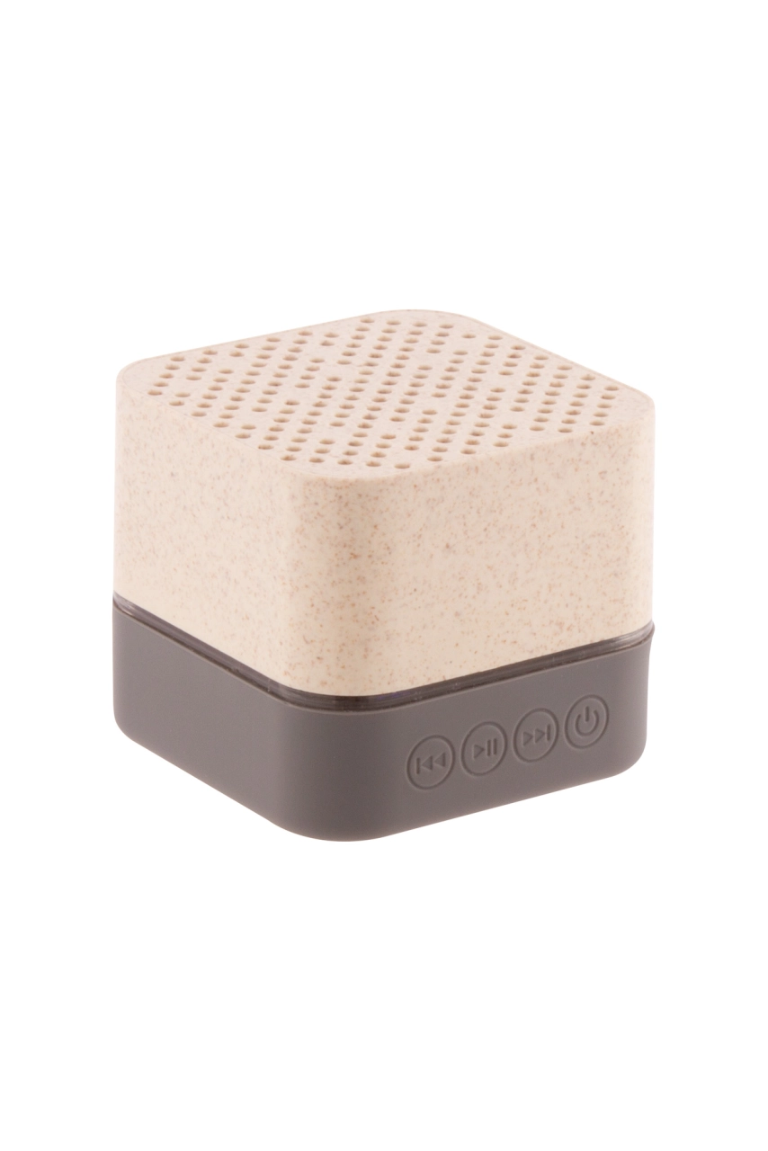 Enceinte bluetooth