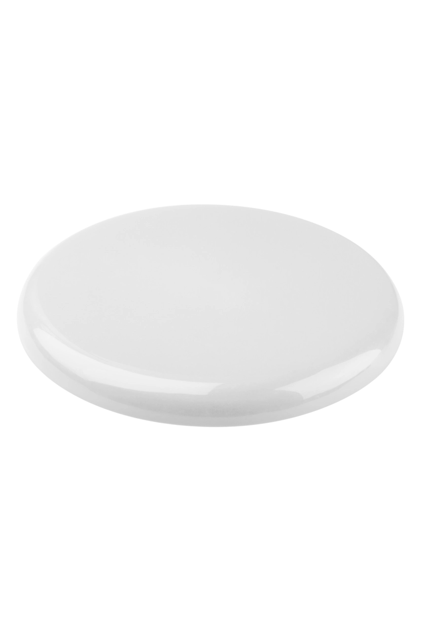 frisbee