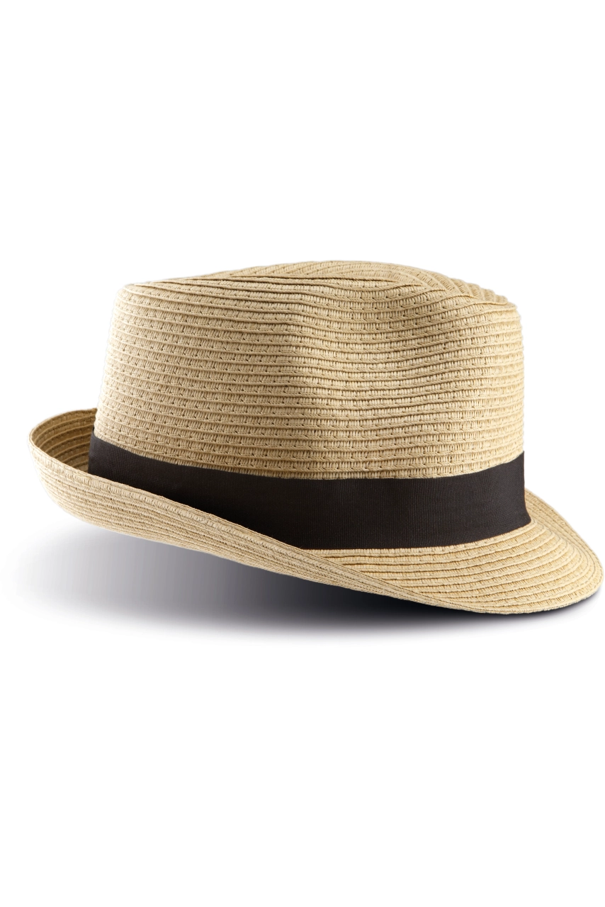 Chapeau Panama